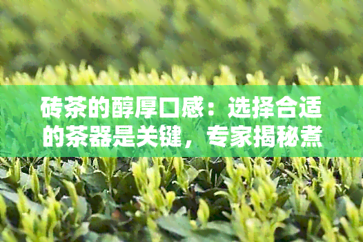 砖茶的醇厚口感：选择合适的茶器是关键，专家揭秘煮茶工具