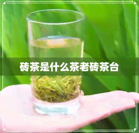 砖茶是什么茶老砖茶台