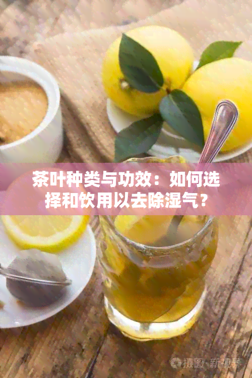 茶叶种类与功效：如何选择和饮用以去除湿气？