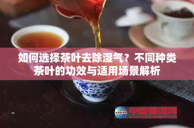 如何选择茶叶去除湿气？不同种类茶叶的功效与适用场景解析