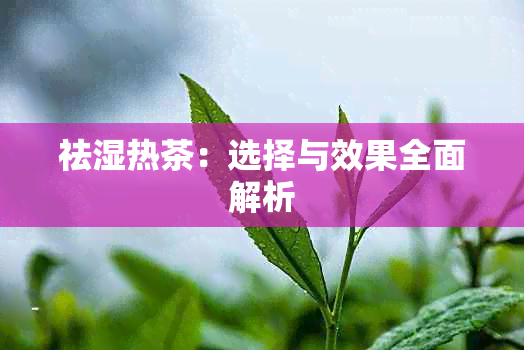 祛湿热茶：选择与效果全面解析