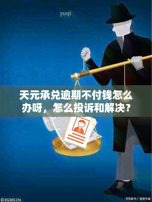 天元承兑逾期不付钱怎么办呀，怎么投诉和解决？