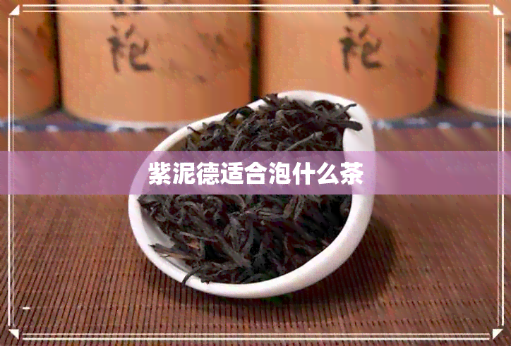 紫泥德适合泡什么茶