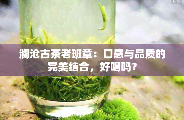 澜沧古茶老班章：口感与品质的完美结合，好喝吗？