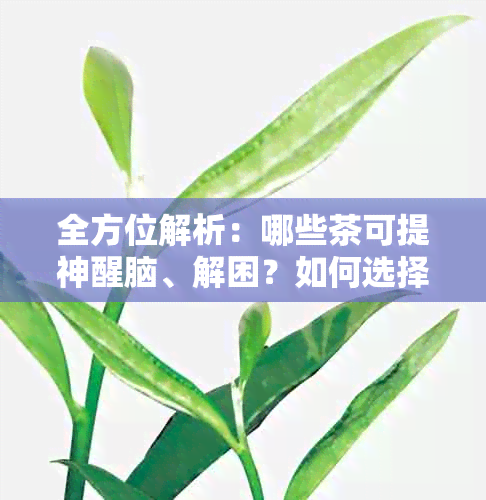 全方位解析：哪些茶可提神醒脑、解困？如何选择最适合你的茶品？