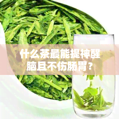 什么茶最能提神醒脑且不伤肠胃？