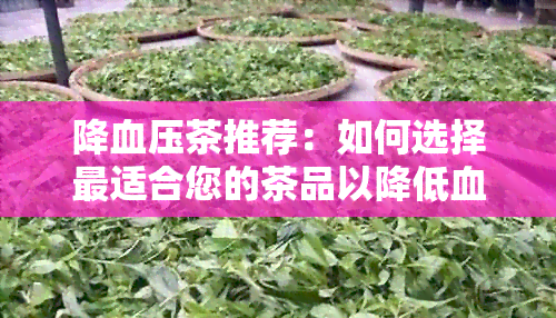 降血压茶推荐：如何选择最适合您的茶品以降低血压？