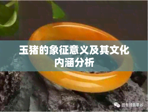 玉猪的象征意义及其文化内涵分析