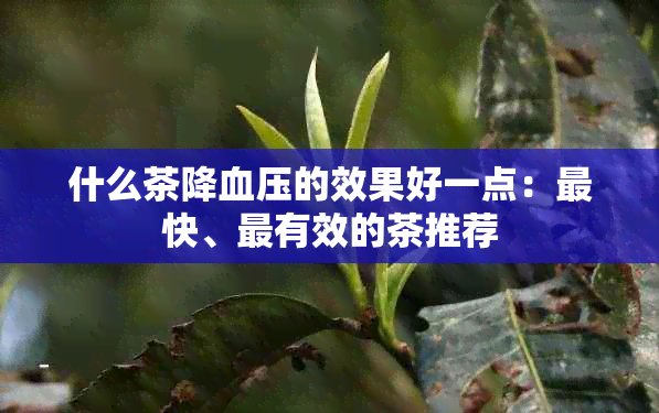 什么茶降血压的效果好一点：最快、最有效的茶推荐