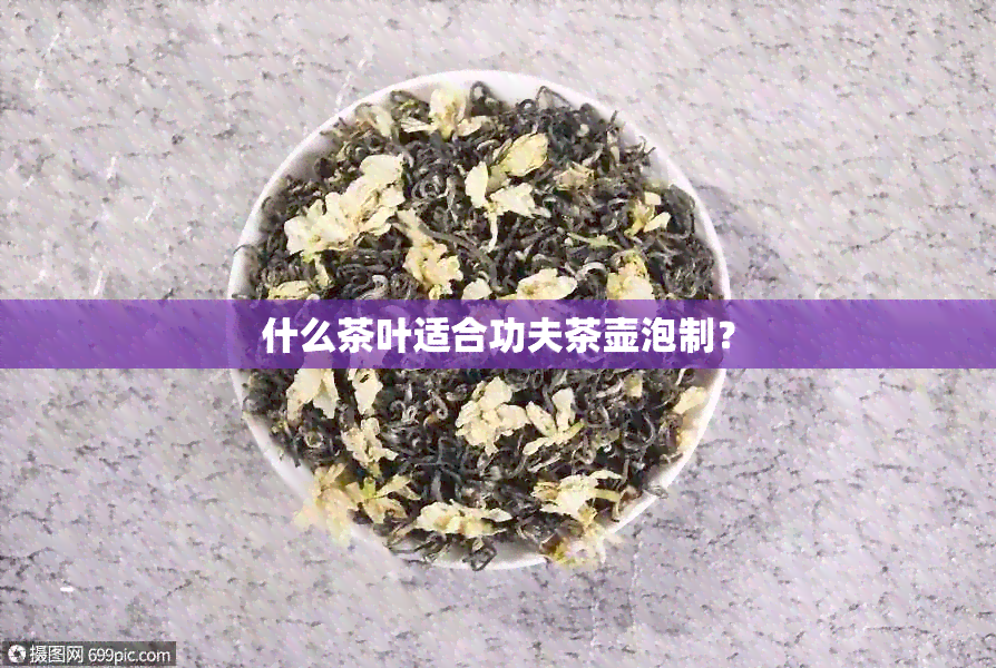 什么茶叶适合功夫茶壶泡制？