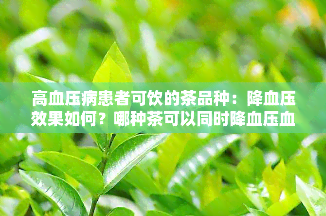 高血压病患者可饮的茶品种：降血压效果如何？哪种茶可以同时降血压血脂？