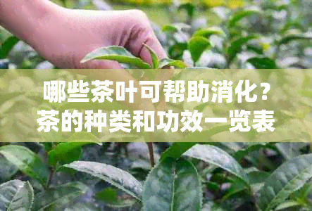 哪些茶叶可帮助消化？茶的种类和功效一览表