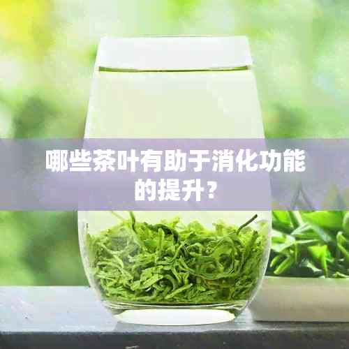 哪些茶叶有助于消化功能的提升？