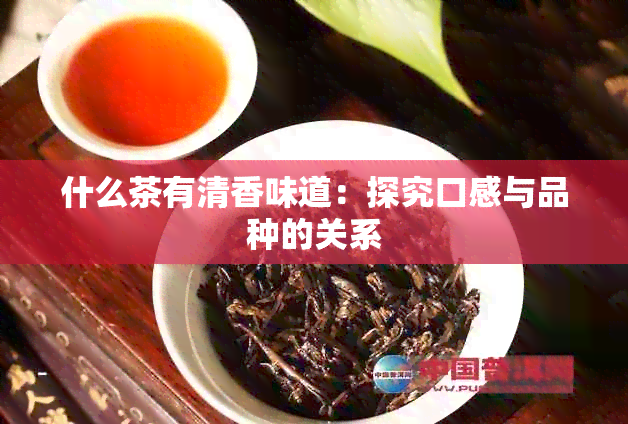 什么茶有清香味道：探究口感与品种的关系