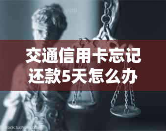 交通信用卡忘记还款5天怎么办——解决逾期还款问题