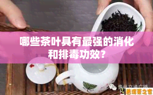 哪些茶叶具有最强的消化和排功效？