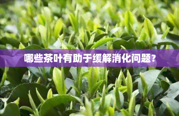 哪些茶叶有助于缓解消化问题？