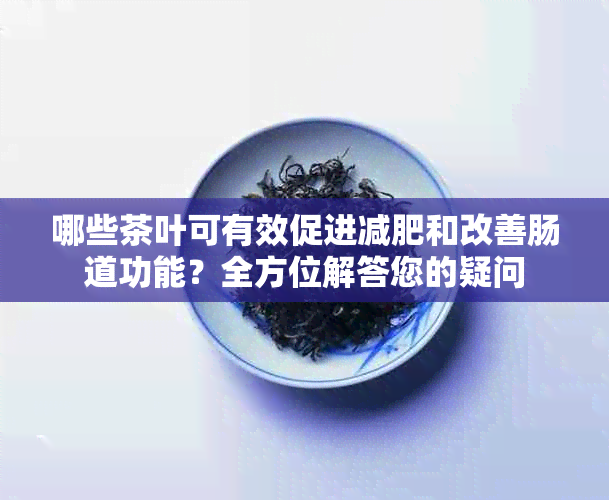 哪些茶叶可有效促进减肥和改善肠道功能？全方位解答您的疑问