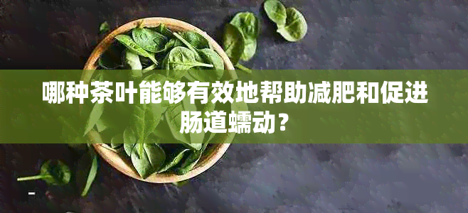 哪种茶叶能够有效地帮助减肥和促进肠道蠕动？