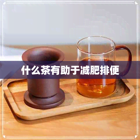 什么茶有助于减肥排便