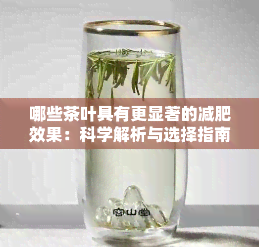 哪些茶叶具有更显著的减肥效果：科学解析与选择指南