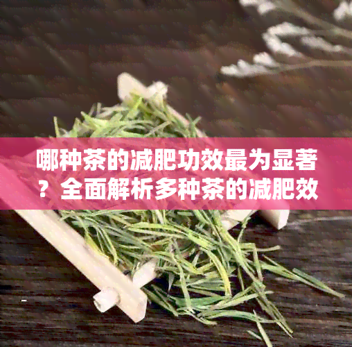 哪种茶的减肥功效最为显著？全面解析多种茶的减肥效果对比