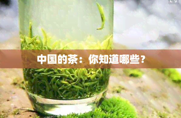 中国的茶：你知道哪些？