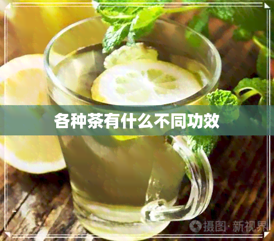 各种茶有什么不同功效