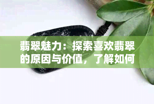 翡翠魅力：探索喜欢翡翠的原因与价值，了解如何选择与养护