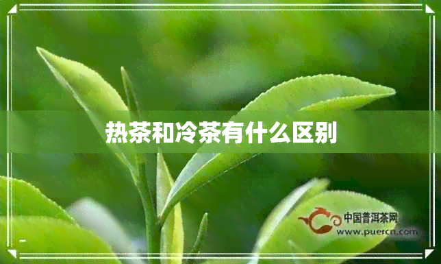 热茶和冷茶有什么区别