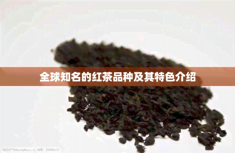 全球知名的红茶品种及其特色介绍