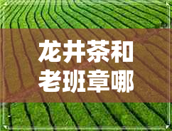 龙井茶和老班章哪个贵