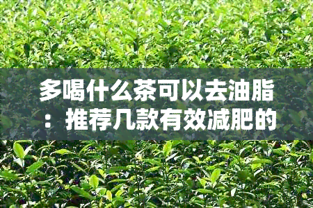 多喝什么茶可以去油脂：推荐几款有效减肥的茶叶