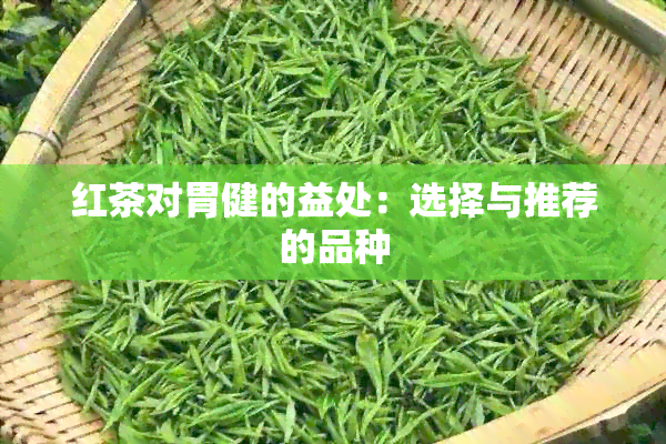 红茶对胃健的益处：选择与推荐的品种