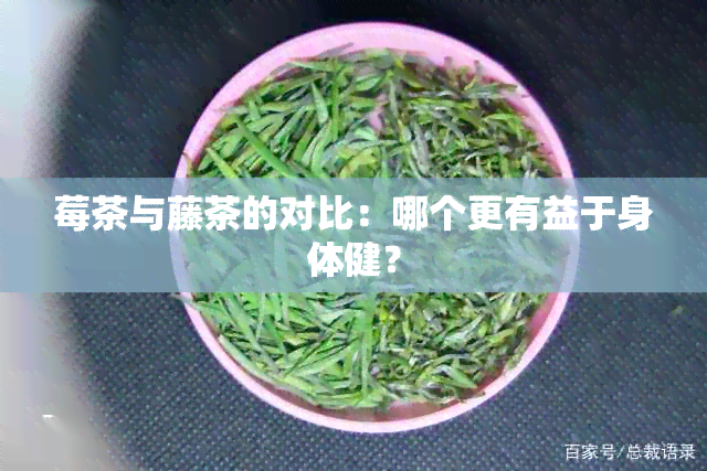 莓茶与藤茶的对比：哪个更有益于身体健？