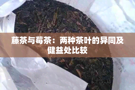 藤茶与莓茶：两种茶叶的异同及健益处比较