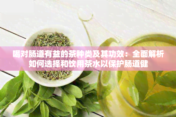 喝对肠道有益的茶种类及其功效：全面解析如何选择和饮用茶水以保护肠道健