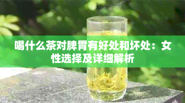 喝什么茶对脾胃有好处和坏处：女性选择及详细解析