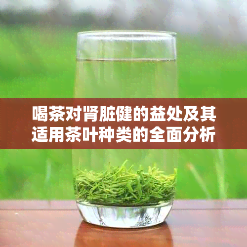 喝茶对肾脏健的益处及其适用茶叶种类的全面分析