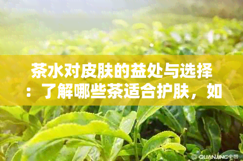 茶水对皮肤的益处与选择：了解哪些茶适合护肤，如何泡制以及饮用注意事项