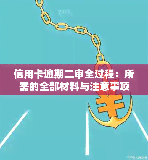 信用卡逾期二审全过程：所需的全部材料与注意事项，一篇解决所有疑惑