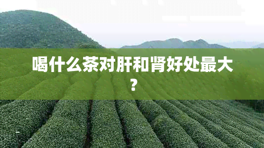 喝什么茶对肝和肾好处更大？