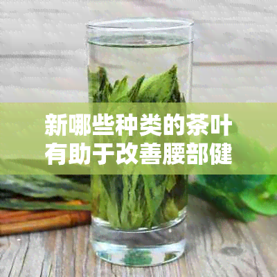 新哪些种类的茶叶有助于改善腰部健？