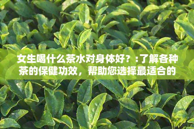 女生喝什么茶水对身体好？:了解各种茶的保健功效，帮助您选择最适合的茶水