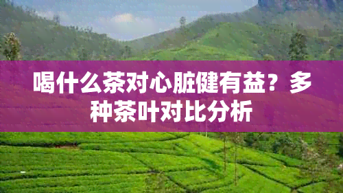 喝什么茶对心脏健有益？多种茶叶对比分析