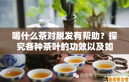 喝什么茶对脱发有帮助？探究各种茶叶的功效以及如何配合治疗脱发问题