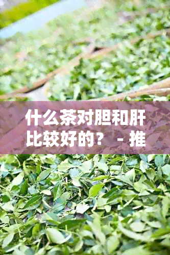 什么茶对胆和肝比较好的？ - 推荐有益于肝胆健的茶叶种类及功效