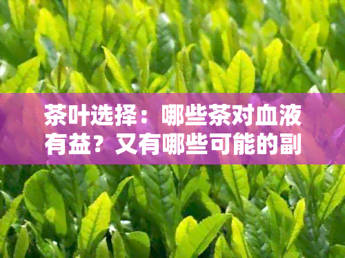 茶叶选择：哪些茶对血液有益？又有哪些可能的副作用？