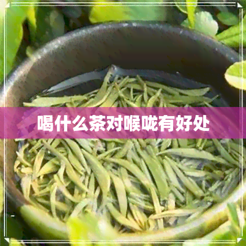 喝什么茶对喉咙有好处