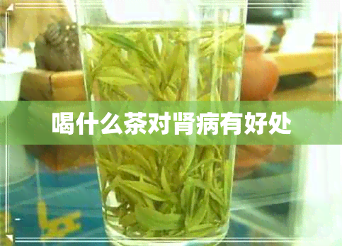 喝什么茶对肾病有好处